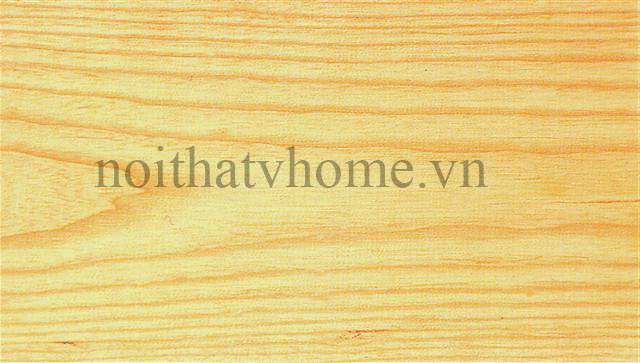 Gỗ tần bì vàng