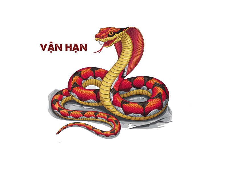 Vận hạn theo tử vi tuổi Kỷ Tỵ năm 2025 Vận hạn theo tử vi tuổi Kỷ Tỵ năm 2025